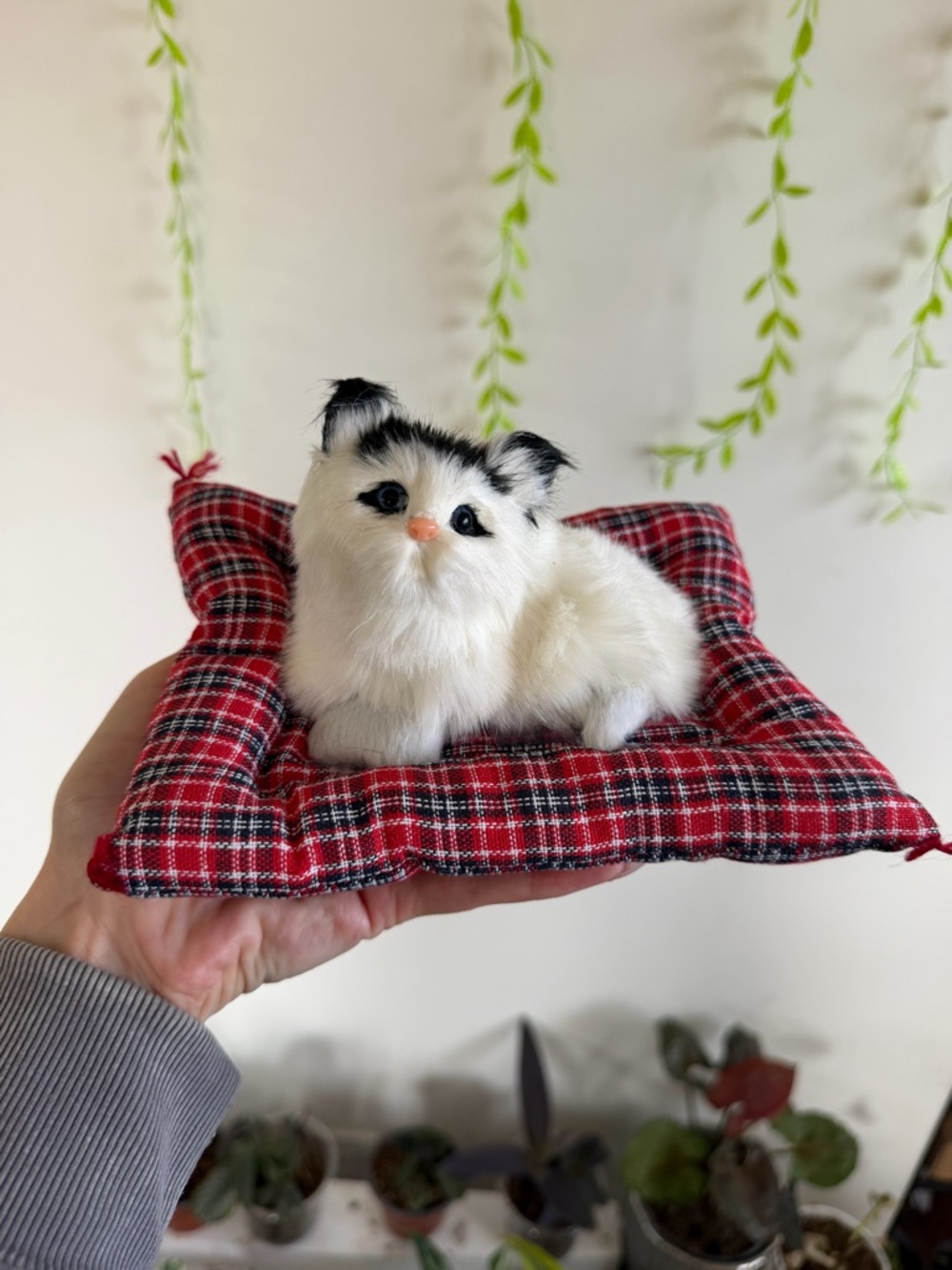 Plush Small Pet Bed with White Fluffy Cat figurine